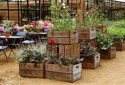 container garden - wood crate garden - wood crate planter - garden 